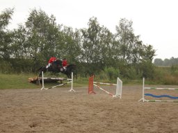 img_9805_web